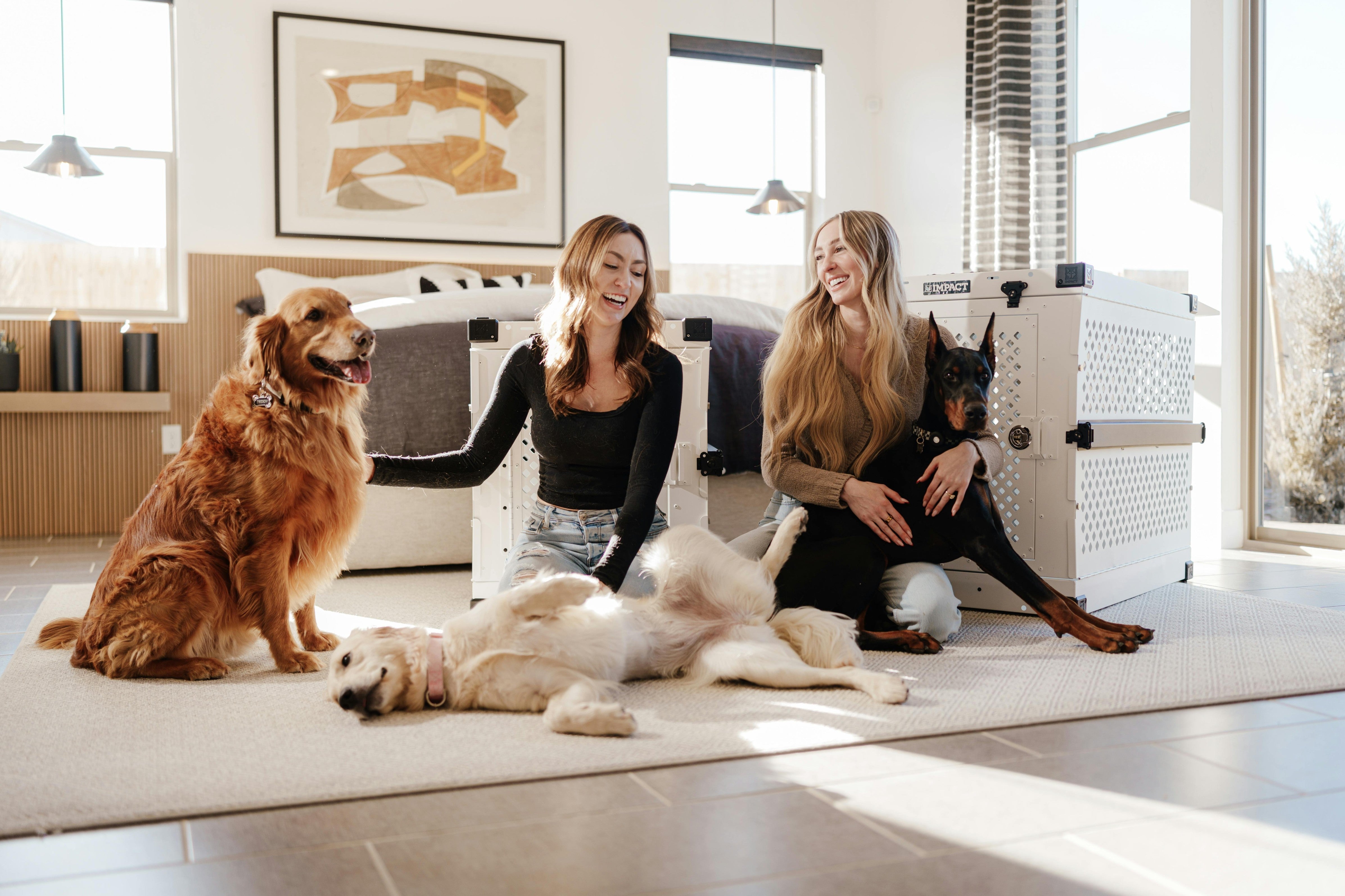 Two women with three dogs in a bright living room featuring interactive pet toys and accessories from the Paws & Perks collection