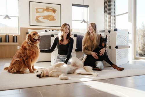 Two women with three dogs in a bright living room featuring interactive pet toys and accessories from the Paws & Perks collection