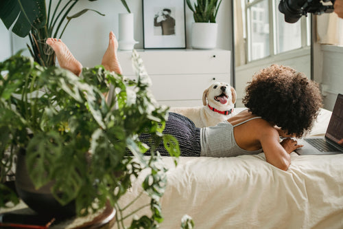 Cozy home scene with woman on bed using laptop and a dog, showcasing home and kitchen essentials lifestyle