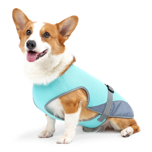 Cooling Vest - Breathable Dog Vest for Hot Summer Days - Adjustable & Lightweight Cooling Jacket with Reflective Strips